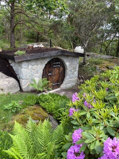 Jordkällare omgiven av ormbunkar och blommande rhododendron. Jordkällare omgiven av ormbunkar och blommande rhododendron.